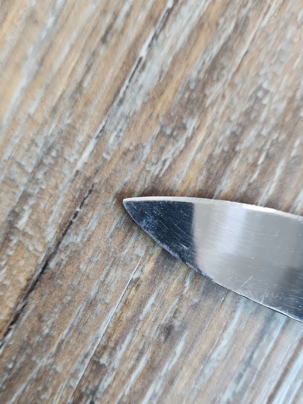 Stainless Steel Knife Blue Plastic Handle & Sheath
